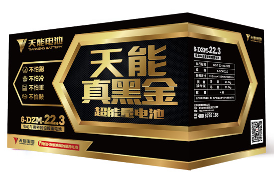真黑金电池